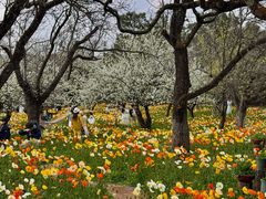 -名花谷生态庄园