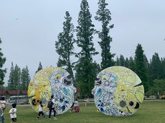 -黄海国家森林公园