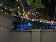 -ZING鲸鱼啤酒(葡萄院店)