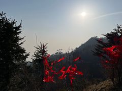 -泰山风景名胜区