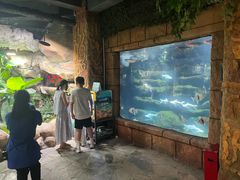 -南昌海洋公园