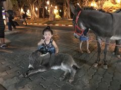-清迈夜间动物园