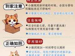 -翊宠yipet猫狗购宠庄园犬舍•猫舍
