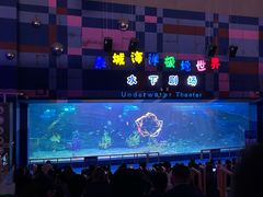-泉城欧乐堡海洋极地世界