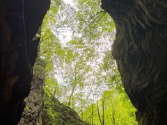 -牛背梁国家森林公园