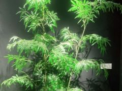 -湘邻呷铺·田园家宴(汉基广场店)