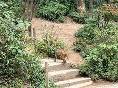 -黔灵山公园
