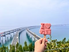 -星海湾跨海大桥
