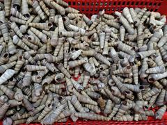 -钱山海鲜大排档