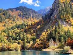 -九寨沟-树正沟