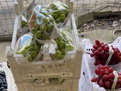 -马陆小张葡萄园农家乐