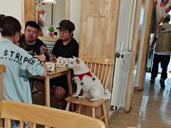 -柴の食堂·日式家庭料理·熊之肆(大学路店)
