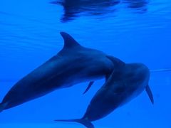 -横琴湾水世界