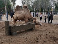 -长白岛森林公园
