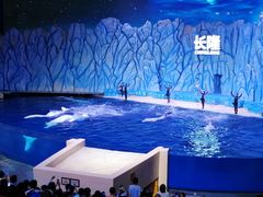 -珠海长隆海洋王国