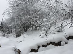 -太子岭滑雪场