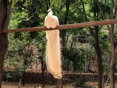 -石家庄市动物园