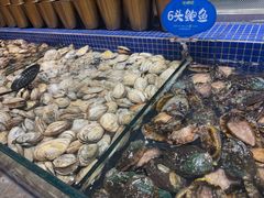 -丰卓会海鲜自助(中润大道店)