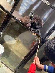 -酷嗒动物文化乐园(cutezoo西溪乐天城店)