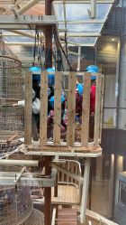 -PIPIKINGDOM皮皮王国欢乐号(欢乐海岸购物中心店)