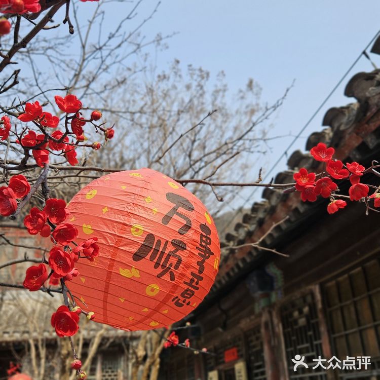 这么佛系的炸酱面，吃完浑身充满灵气儿，素斋界顶流！