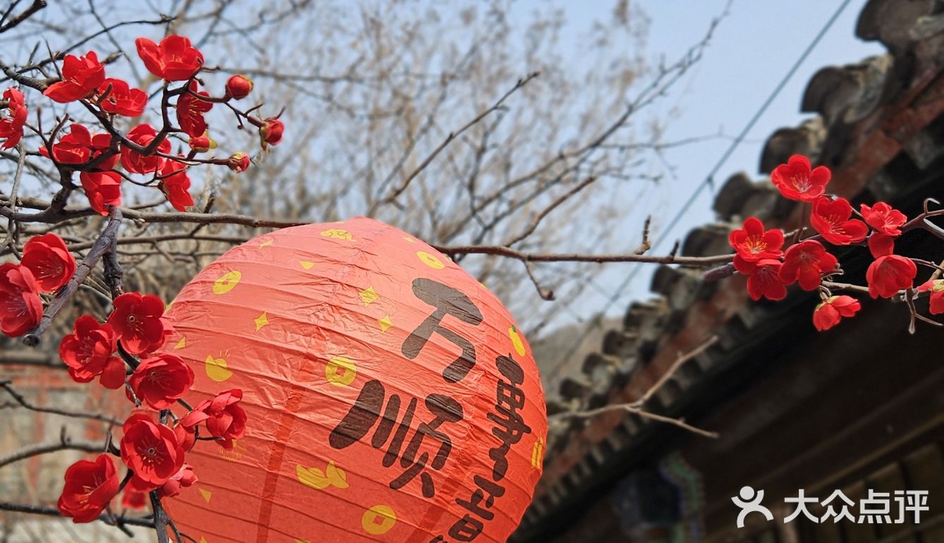 这么佛系的炸酱面，吃完浑身充满灵气儿，素斋界顶流！