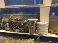 -海天盛宴新派海鲜自助餐厅(群力店)