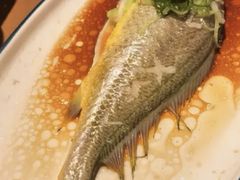 -波螺油子青岛本帮菜(银座店)