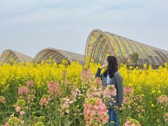 -中国天府农业博览园