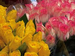 -循礼门鲜花花市(武汉循礼门店)