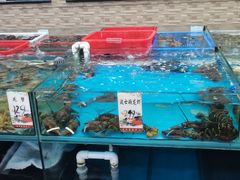 -庭苑美食中心·陈皮烧鹅·海鲜(台山店)