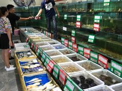 -海岛渔村大酒店(云霄路店)