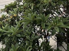 -万宝财富商业广场