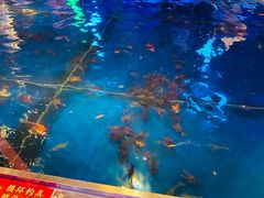 -钳真多钓虾馆·小龙虾海鲜烧烤(九六广场店)