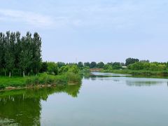 -马家湾湿地公园