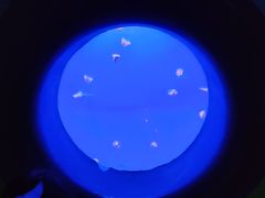 -江和美海洋公园