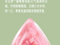 -万达广场(万州店)