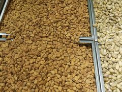 -琦王花生(张杨北路文峰广场店)