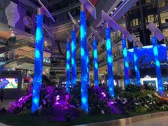-半山腰·云南菜(侨福芳草地店)