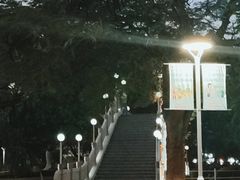 -金砂公园