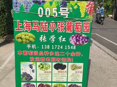 -马陆小张葡萄园农家乐