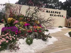 -南山植物园