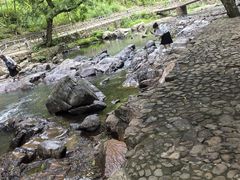 -五泄景区