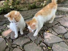 -雨花胜境