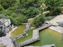 -上海吴淞炮台湾国家湿地公园