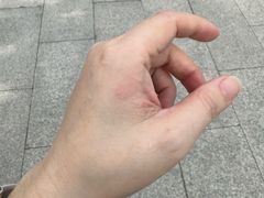 -龙华素斋(龙华路店)