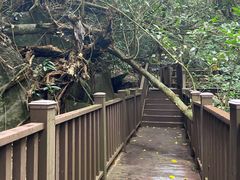 -七仙岭温泉国家森林公园