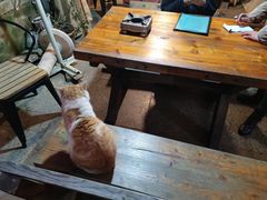 -鱼乐岛餐厅·户外花园主题餐厅