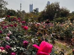 -人民公园(罗湖区)