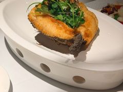 -新雅(丰盛里店)